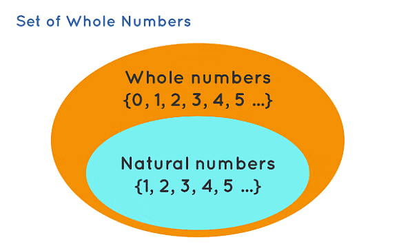 Notes: Whole Number | Mathematics & Pedagogy Paper 2 for CTET & TET Exams - CTET & State TET