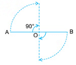 Notes: Solids Around Us | Mathematics & Pedagogy Paper 1 for CTET & TET Exams - CTET & State TET