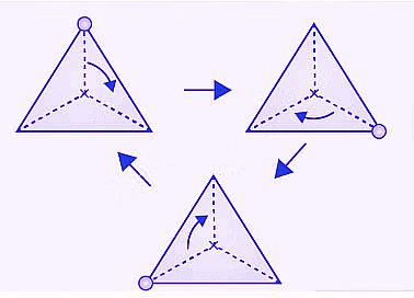 Notes: Symmetry | Mathematics & Pedagogy Paper 2 for CTET & TET Exams - CTET & State TET