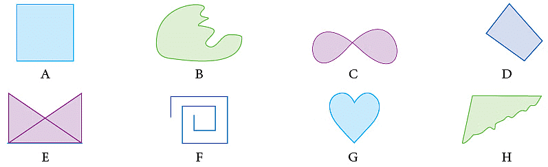 Notes: Geometry | Mathematics & Pedagogy Paper 1 for CTET & TET Exams - CTET & State TET