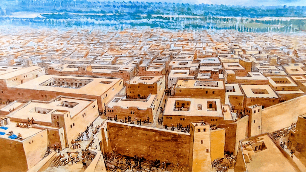 Notes: The First Cities | Social Studies & Pedagogy Paper 2 for CTET & TET Exams - CTET & State TET