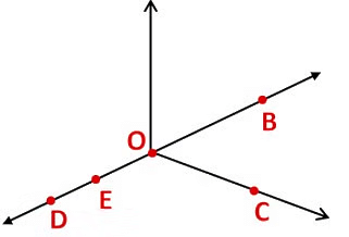 Notes: Geometry | Mathematics & Pedagogy Paper 2 for CTET & TET Exams - CTET & State TET