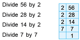 Notes: Factors & Multiples | Mathematics & Pedagogy Paper 1 for CTET & TET Exams - CTET & State TET