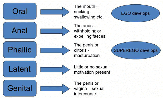 Notes: Freud`s Psychosexual Theory | Child Development and Pedagogy for CTET Preparation - CTET & State TET