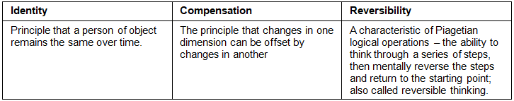 Notes: Cognitive Development Theory | Child Development and Pedagogy for CTET Preparation - CTET & State TET