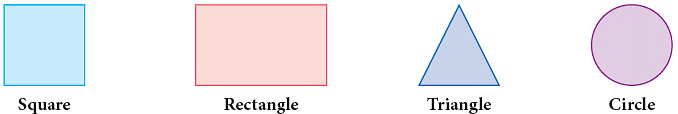Notes: Solids Around Us | Mathematics & Pedagogy Paper 1 for CTET & TET Exams - CTET & State TET