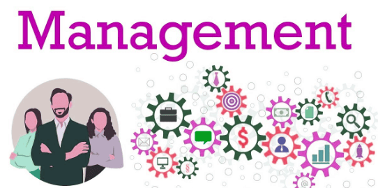 What is Management?