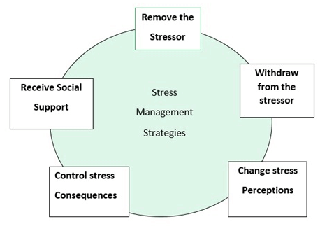 Types of Stress Management in Organizational Behaviour