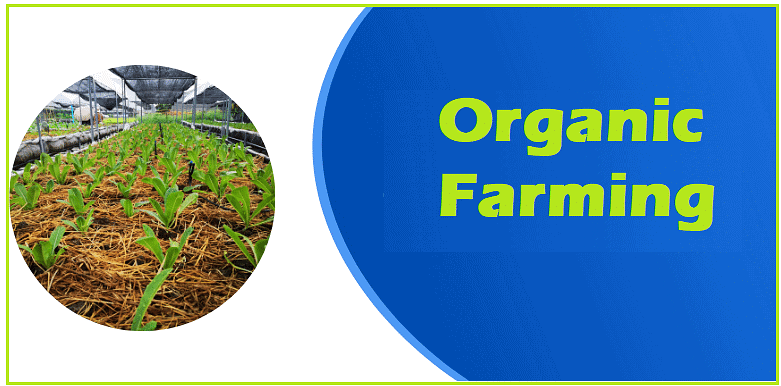 Organic Farming - People, Development and Environment Notes