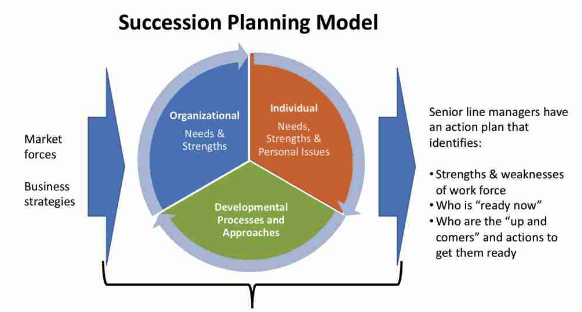 Succession Planning | Crash Course for UGC NET Commerce