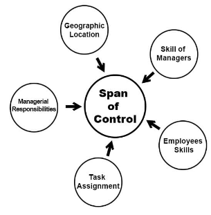 Span of Control | Crash Course for UGC NET Commerce