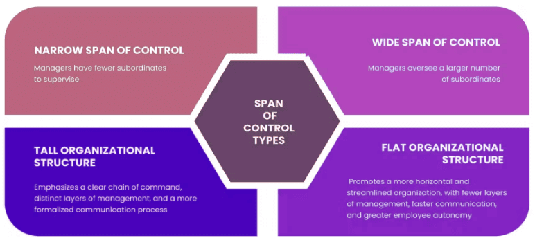 Span of Control | Crash Course for UGC NET Commerce