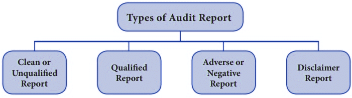 Audit Report | Crash Course for UGC NET Commerce