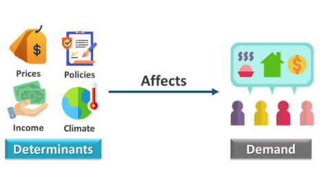 Demand and the determinants of demand | Crash Course for UGC NET Commerce