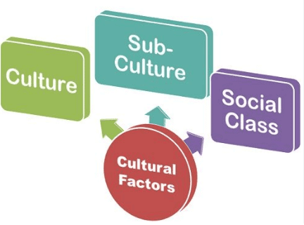 Socio-Cultural Factors and it`s Influence on Business | Crash Course for UGC NET Commerce