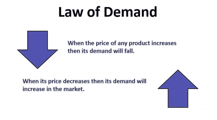 Law of Demand | Crash Course for UGC NET Commerce