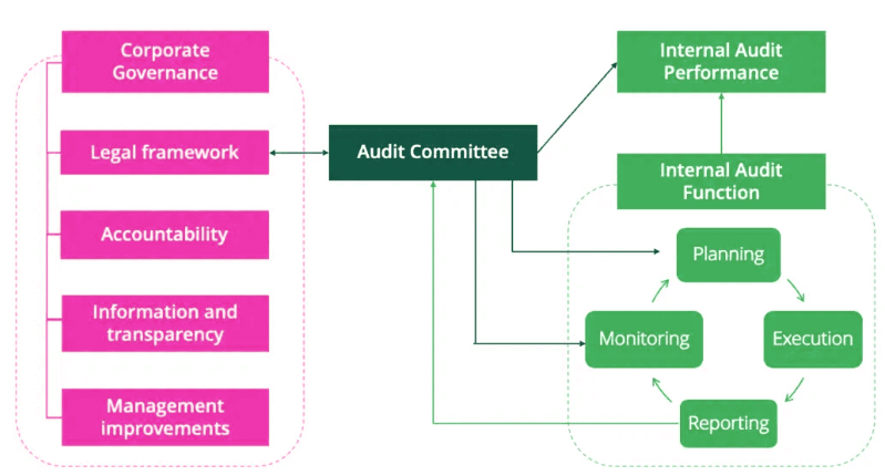 Audit Report | Crash Course for UGC NET Commerce