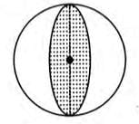 Cylinder, Cone and Sphere Chapter Notes | Mathematics Class 10 ICSE