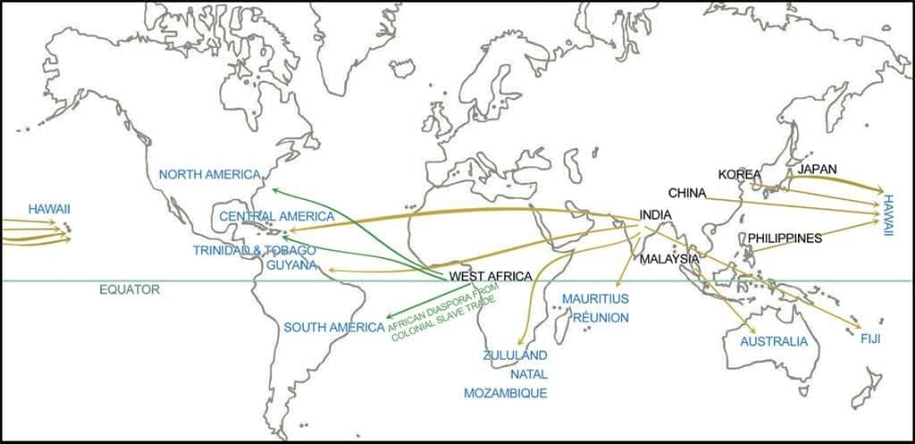 Earth-Our Shared Home NCERT Solutions | Our Wondrous World  Class 5 - New NCERT