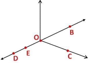 Basic Concepts in Geometry Chapter Notes | Mathematics Class 6 (SSC Board)