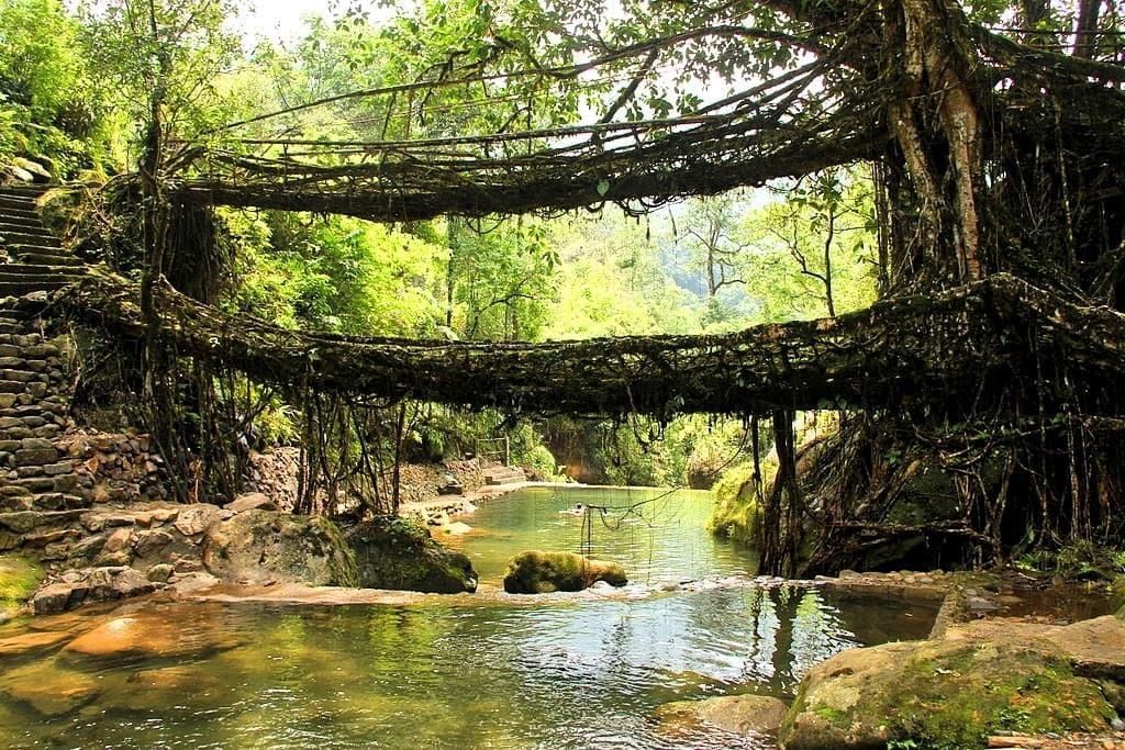 Short and Long Answer Questions: Spectacular Wonders | English Poorvi Class 8 - New NCERT