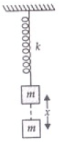 NCERT Exemplar: Oscillations | Physics Class 11 - NEET