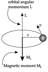 Class 12 Physics: CBSE Sample Question Paper- Term II (2021-22)- 4 | Sample Papers for Class 12 Medical and Non-Medical