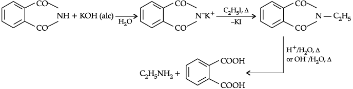 Class 12 Chemistry: CBSE Sample Question Paper- Term II (2021-22)- 2 | Sample Papers for Class 12 Medical and Non-Medical