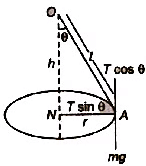 Revision Notes: Circular Motion | Physics for JEE Main & Advanced