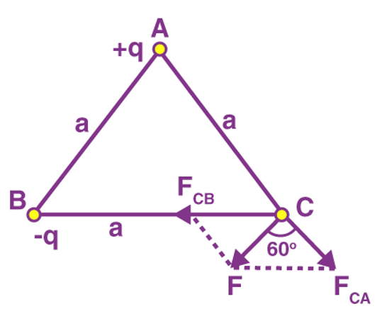 Coulomb`s Law & Its Applications | Physics Class 12 - NEET