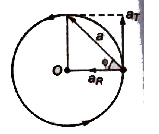 Revision Notes: Circular Motion | Physics for JEE Main & Advanced