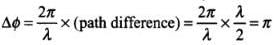 NCERT Exemplar: Wave Optics | Physics Class 12 - NEET