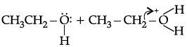 Class 12 Chemistry: CBSE Sample Question Paper- Term I (2021-22)- 3 | Sample Papers for Class 12 Medical and Non-Medical