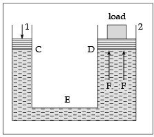 Class 11 Physics: CBSE Sample Question Papers- Term II (2021-22)- 2 | Sample Papers for Class 11 Medical and Non-Medical - JEE