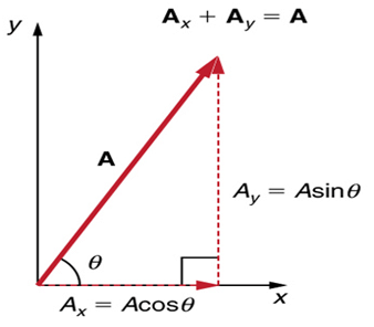 Vectors and their Addition & Subtraction | Physics Class 11 - NEET
