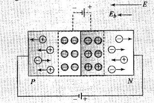 NCERT Exemplar: Semiconductor Electronics | Physics Class 12 - NEET