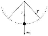 NCERT Exemplar: Work, Energy & Power | Physics Class 11 - NEET