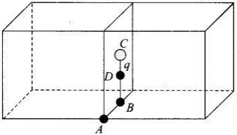NCERT Exemplars - Electric Charges and Fields | Physics for Airmen Group X - Airforce X Y / Indian Navy SSR