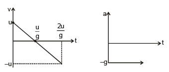 Graphs | Physics for EmSAT Achieve