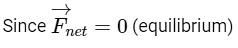 JEE Mains Previous Year Questions (2025)): Laws of Motion | Chapter-wise Tests for JEE Main & Advanced