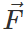 Short & Long Answer Questions: Work, Energy & Power | Physics for ACT