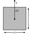 Physics: CBSE Sample Question Paper (2020-21)- 3 | Physics for Grade 12