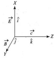 NCERT Exemplar: Electromagnetic Waves | Physics for JEE Main & Advanced