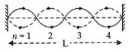 NCERT Exemplar: Waves - 2 - NEET