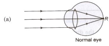 Optical Instruments | Physics Class 12 - NEET