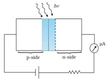 Optoelectronic Junction Devices | Physics Class 12 - NEET
