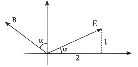 JEE Advanced Previous Year Questions (2018 - 2024): Electromagnetic Waves | Physics for JEE Main & Advanced