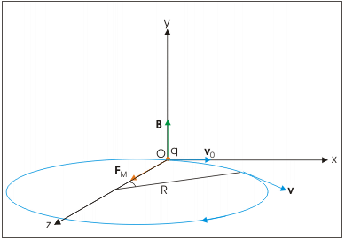 The circular motion of a charged particle in the magnetic field