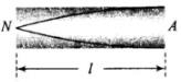 NCERT Exemplar: Waves | Physics Class 11 - NEET