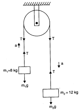 NCERT Solutions Class 11 Physics Chapter 4 - Laws of Motion